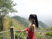 คอลเลกชันผลงานการหายใจไม่ออกของ DOM