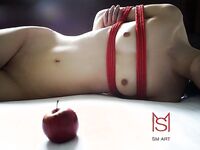 คอลเลกชันผลงานการหายใจไม่ออกของ DOM