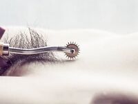 คอลเลกชันผลงานการหายใจไม่ออกของ DOM