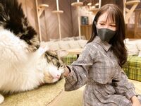 日本最优秀成人性爱女郎「Liris Amano」「RirisuAmano」特辑全资源