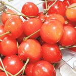 日本最优秀成人性爱女郎「Liris Amano」「RirisuAmano」特辑全资源