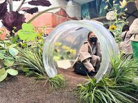 日本最优秀成人性爱女郎「Liris Amano」「RirisuAmano」特辑全资源