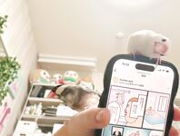 日本最优秀成人性爱女郎「Liris Amano」「RirisuAmano」特辑全资源