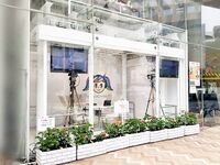 日本最优秀成人性爱女郎「Liris Amano」「RirisuAmano」特辑全资源