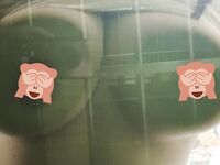 Inilantad ni Changsha ang malaking breast welfare Ji @daisybabyzhu scale pribadong photo view na koleksyon