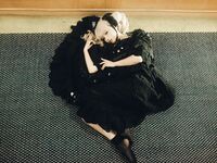 โมโมะผู้โง่เขลา "คานารี่"