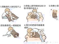 推特13萬粉蘿莉風coser可鹽可甜TS娘【小舞醬】露臉私拍，嗲聲嗲氣3P前後夾擊直男最愛