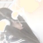 推特13萬粉蘿莉風coser可鹽可甜TS娘【小舞醬】露臉私拍，嗲聲嗲氣3P前後夾擊直男最愛