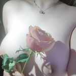 Sweet Eighty-Three Collection