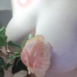 Sweet Eighty-Three Collection