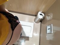 Sweet Eighty-Three Collection