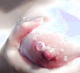 Sweet Eighty-Three Collection