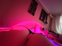 Sweet Eighty-Three Collection