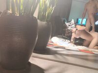 Sweet Eighty-Three Collection