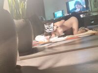 Sweet Eighty-Three Collection