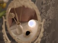 Sweet Eighty-Three Collection