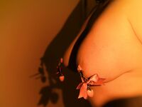 Sweet Eighty-Three Collection