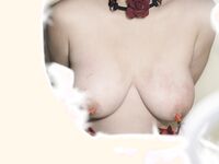 Sweet Eighty-Three Collection