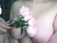 Sweet Eighty-Three Collection