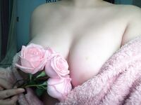 Sweet Eighty-Three Collection