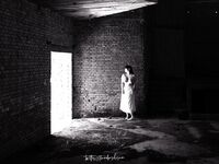 Sweet Eighty-Three Collection