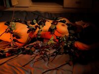 Sweet Eighty-Three Collection