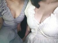 Sweet Eighty-Three Collection