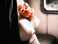 Sweet Eighty-Three Collection