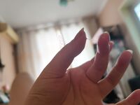 Sweet Eighty-Three Collection