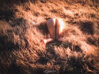 Sweet Eighty-Three Collection