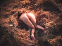 Sweet Eighty-Three Collection