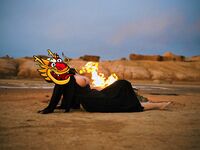 Sweet Eighty-Three Collection