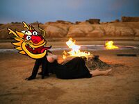 Sweet Eighty-Three Collection