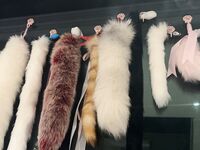 Koleksi Xiaojiujiang @xiaojiu520jy (gadis kucing putih @kktu520) (1)