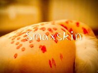 推特顶级身材露出狂人少女嫩妹【Smaxskin】私拍，宜家全裸露出母狗式调教啪啪啪无套内射无毛嫩穴