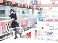 G44不会受伤- NO.21 黑猫