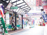 G44不会受伤- NO.21 黑猫