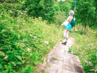 G44不會受傷 - NO.91 可可蘿 