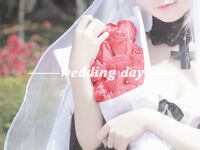 G44不会受伤- NO.04 G44 98K婚纱德皇