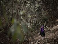 G44 sẽ không bị thương - SỐ 18 Anna