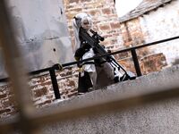 G44 will not be injured - NO.86 Girls Frontline HS-50 