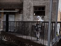 G44 will not be injured - NO.86 Girls Frontline HS-50 