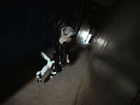 G44 will not be injured - NO.86 Girls Frontline HS-50 