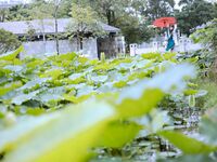 G44不会受伤- NO.90 药纸