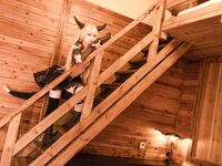 G44 จะไม่ได้รับบาดเจ็บ - NO.53 คูล์ม