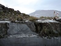 G44不會受傷 - NO.82 快要壞掉的八音盒 小花