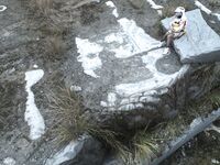 G44不會受傷 - NO.82 快要壞掉的八音盒 小花