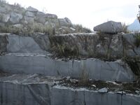 G44不會受傷 - NO.82 快要壞掉的八音盒 小花