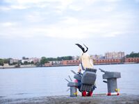 G44不会受伤- NO.48 岛风