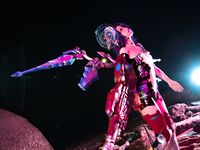 G44不会受伤- NO.61 休比·多拉